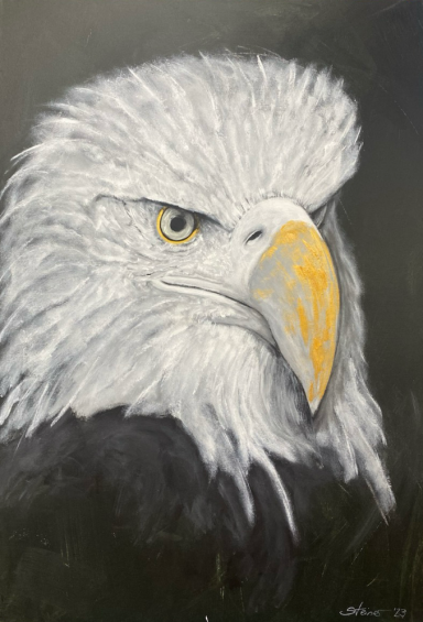 100cm x 80cm